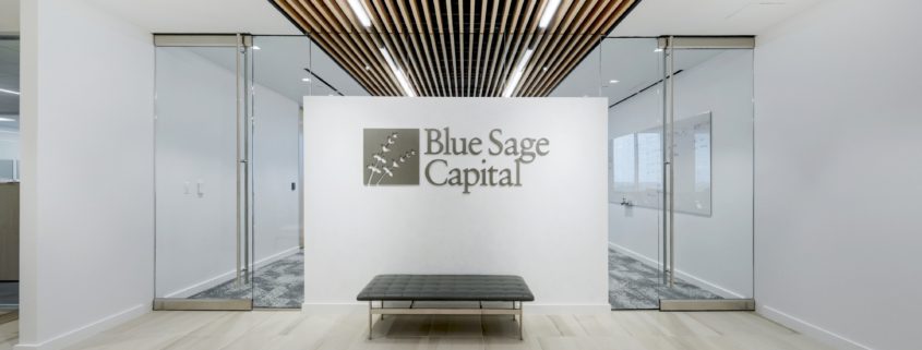 BLUE SAGE 001