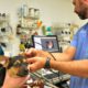 SPICEWOOD SPRINGS ANIMAL HOSPITAL
