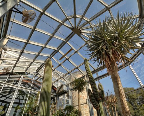 THE GREENHOUSE