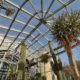 THE GREENHOUSE